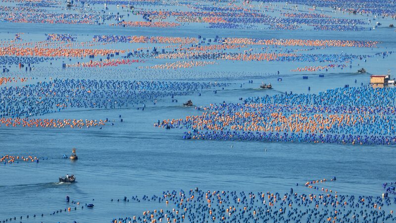 China_Tops_Global_Capture_Fisheries_with_14_3__Share_in_2022