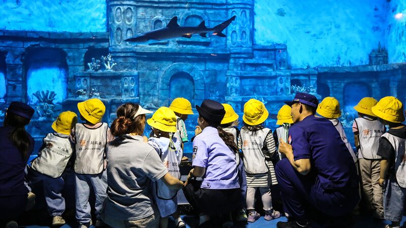 China_Unveils_Ambitious_7_Year_Biodiversity_Conservation_Plan_poster - My Global News: Voices of a New Era China_Unveils_Ambitious_7_Year_Biodiversity_Conservation_Plan video poster