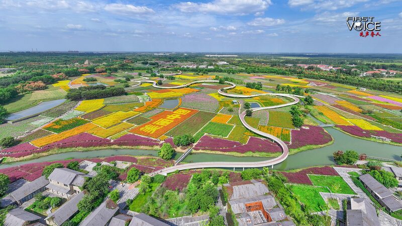 China_Unveils_Groundbreaking_Guidelines_to_Accelerate_Green_Transition