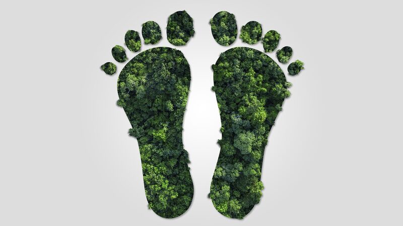 China_Unveils_New_Carbon_Footprint_Management_Plan_to_Boost_Green_Initiatives