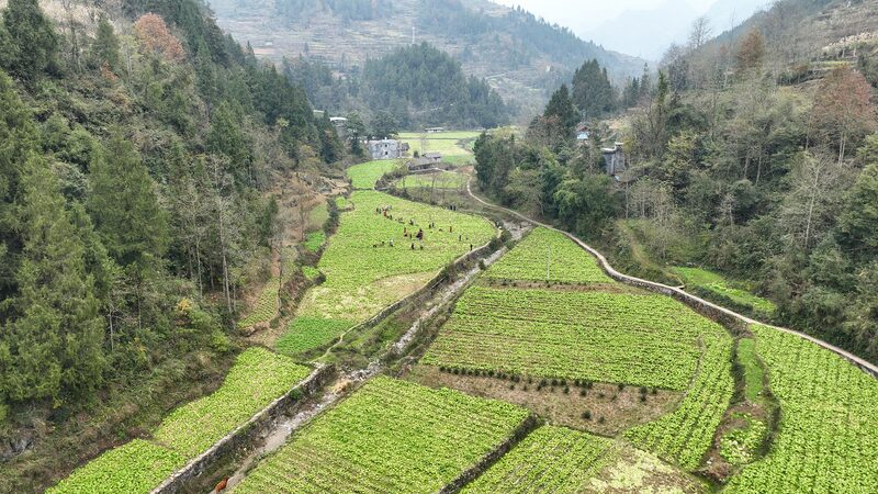 China_Unveils_Top_10_Initiatives_for_Rural_Revitalization_in_2024 - My Global News: Voices of a New Era China_Unveils_Top_10_Initiatives_for_Rural_Revitalization_in_2024