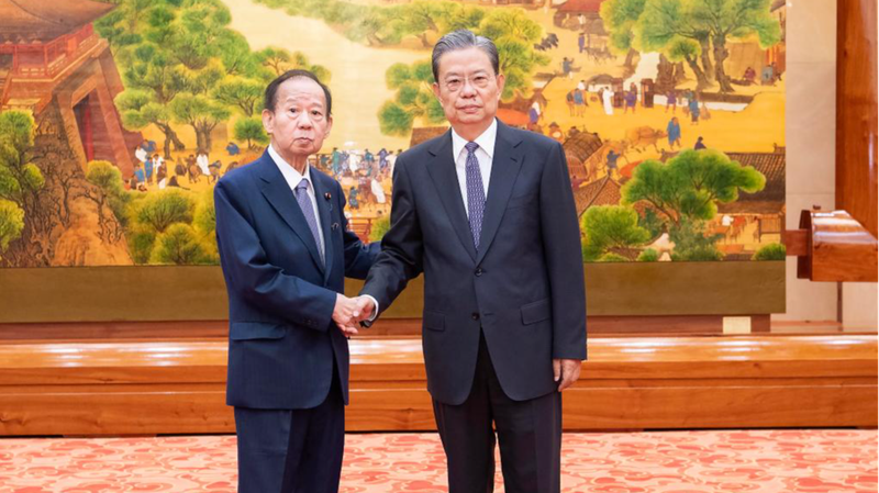 China_and_Japan_s_Top_Legislators_Pave_Way_for_Stronger_Bilateral_Ties