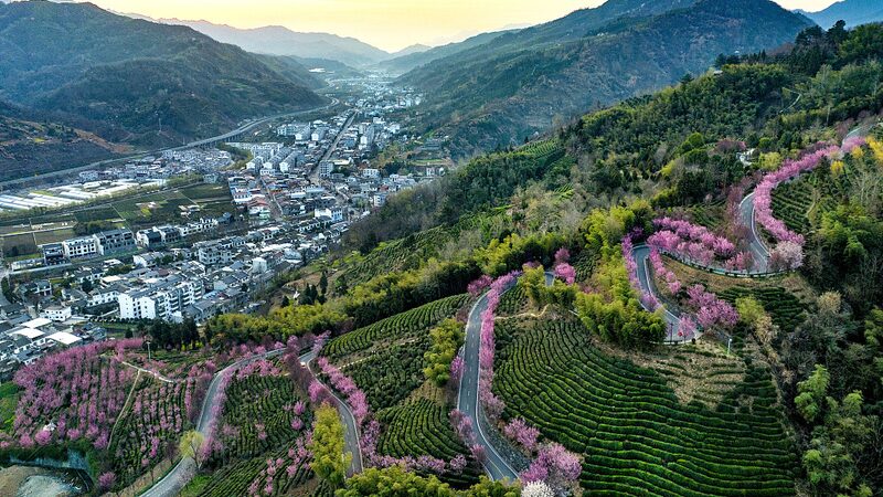 China_s_2024_Central_Document_Unveils_Ambitious_Plan_for_Rural_Revitalization