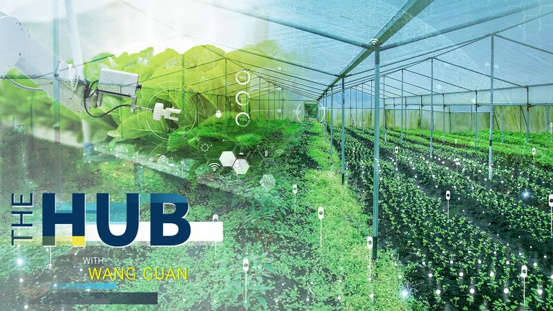 China_s_2025_Agricultural_Blueprint__Smart_Farming_and_Rural_Reforms video poster