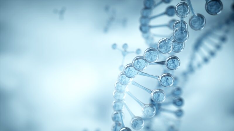 China_s_Advanced_Deep_Sea_Gene_Sequencer_Triumphs_in_Sea_Trial