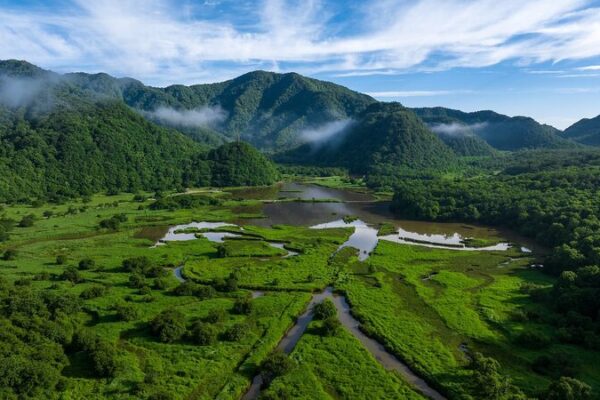 China_s_Ancient_Wetlands__How_Peat_Moss_Sustains_Biodiversity video poster