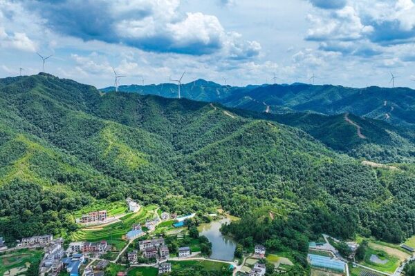 China_s_Carbon_Market_Hits_Milestones__Driving_Green_Transformation_in_Power_Sector