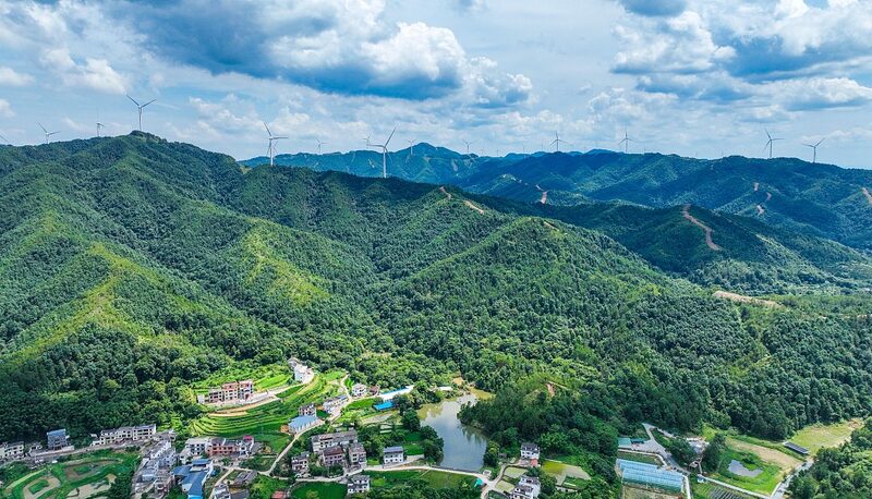 China_s_Carbon_Market_Hits_Milestones__Driving_Green_Transformation_in_Power_Sector
