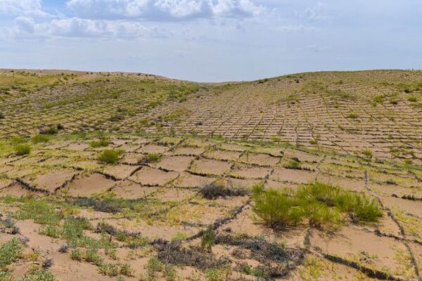 China’s Green Belt Success: Tackling Desertification in the Taklimakan Desert China_s_Green_Belt_Success__Tackling_Desertification_in_the_Taklimakan_Desert
