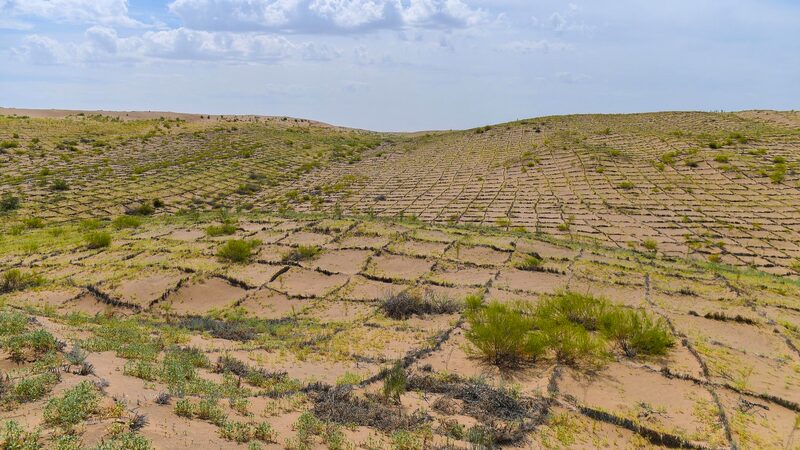 China_s_Green_Belt_Success__Tackling_Desertification_in_the_Taklimakan_Desert