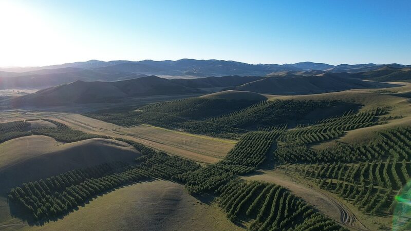 China_s_Green_Great_Wall__Combating_Desertification_in_the_North video poster