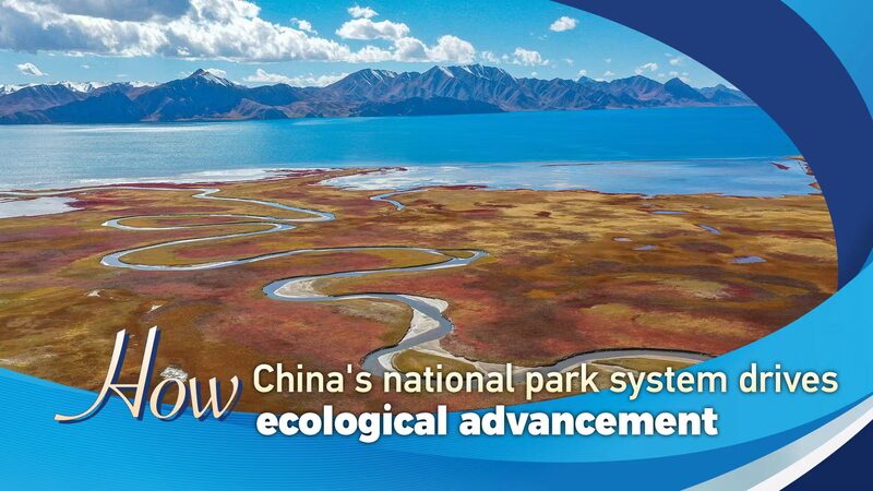 China_s_National_Parks__Pioneering_Ecological_Progress_through_Reform