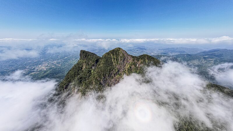 China_s_Pivotal_Role_in_Global_Biodiversity_Protection video poster