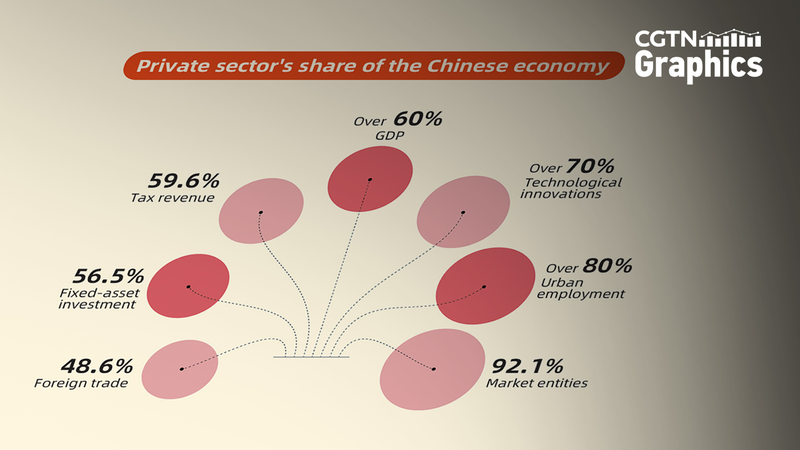China_s_Private_Sector_Takes_Center_Stage_at_High_Level_Symposium