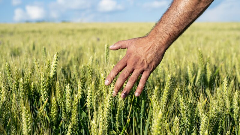 China_s_Rural_Incomes_Double_in_a_Decade__Boosting_Spending_Power - My Global News: Voices of a New Era China_s_Rural_Incomes_Double_in_a_Decade__Boosting_Spending_Power