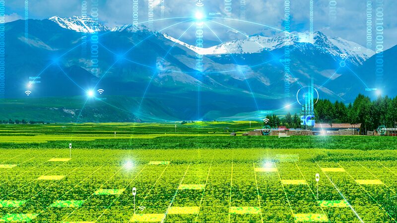 China_s_Rural_Vitalization__Securing_Food_Future_and_Elevating_Farmers__Lives_poster - My Global News: Voices of a New Era China_s_Rural_Vitalization__Securing_Food_Future_and_Elevating_Farmers__Lives video poster