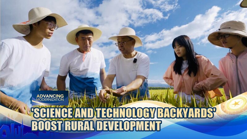 China_s_Science_and_Technology_Backyards_Propel_Rural_Innovation_in_Dali_City_poster - My Global News: Voices of a New Era China_s_Science_and_Technology_Backyards_Propel_Rural_Innovation_in_Dali_City video poster