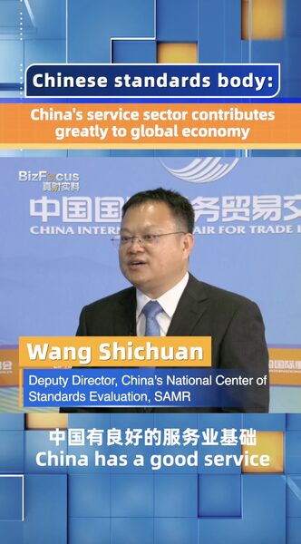 China’s Service Sector: A Pillar for the Global Economy China_s_Service_Sector__A_Pillar_for_the_Global_Economy video poster