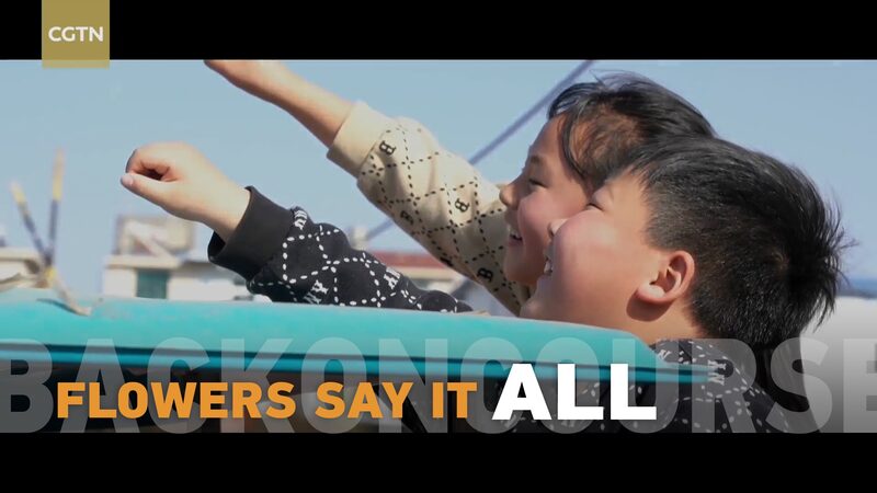 China’s Spring Bloom: Flower Sales Surge Signals Economic Revival China_s_Spring_Bloom__Flower_Sales_Surge_Signals_Economic_Revival video poster