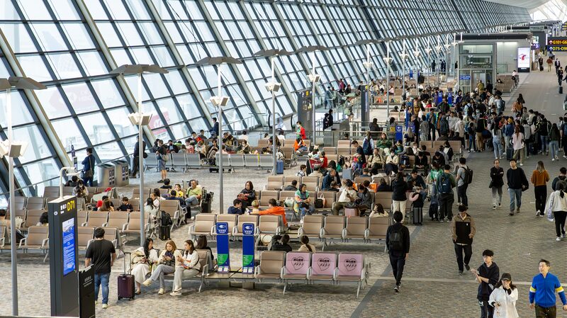 China_s_Visa_Free_Policy_Sparks_Record_Surge_in_French_Travelers