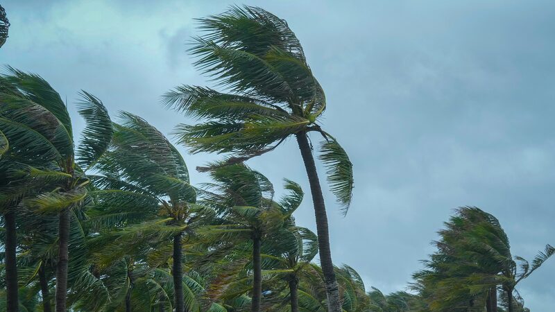 Chinese_Authorities_Commit__38M_to_Aid_Flood_and_Typhoon_Struck_Regions