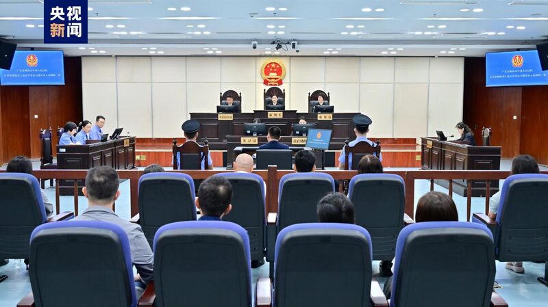 Chinese_Court_Prosecutes_Smuggling_of_Over_1_700_Turtles
