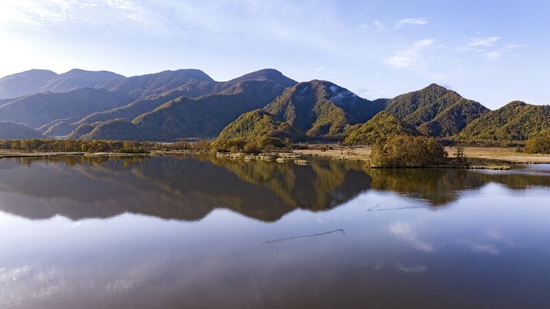 Chinese_Energy_Leaders_Advocate_for_Enhanced_Biodiversity_Conservation