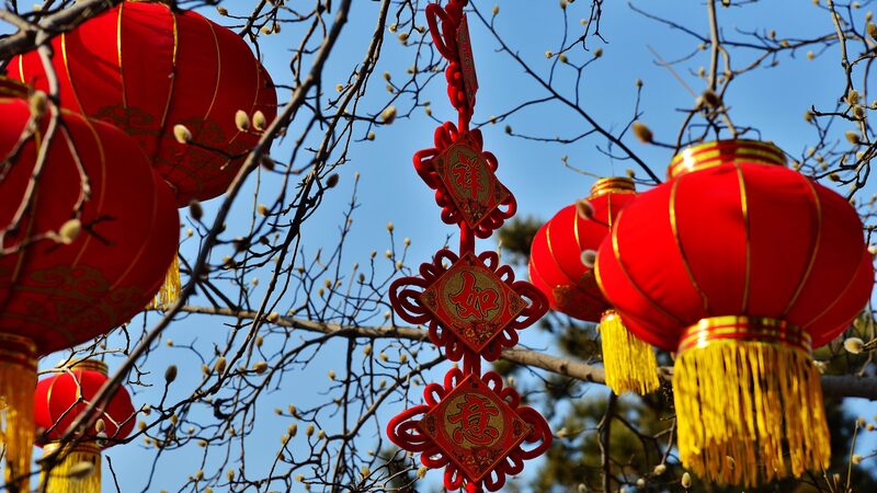 Chinese_Leaders_Extend_Warm_Spring_Festival_Greetings_to_Retired_Officials