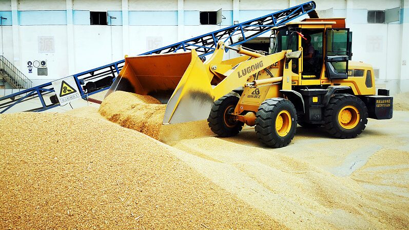 Chinese Mainland Achieves Bumper Summer Grain Harvest in 2024 Chinese_Mainland_Achieves_Bumper_Summer_Grain_Harvest_in_2024