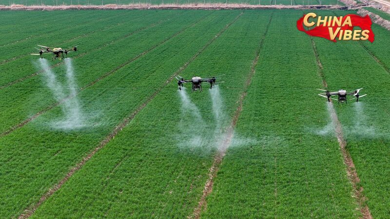 Chinese_Mainland_Launches_Comprehensive_Plan_for_Rural_Revitalization_by_2025 - My Global News: Voices of a New Era Chinese_Mainland_Launches_Comprehensive_Plan_for_Rural_Revitalization_by_2025