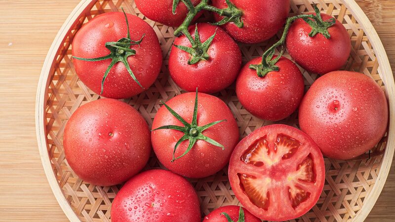 Chinese_Mainland_Scientists_Develop_Climate_Smart_Crops_to_Combat_Global_Warming - My Global News: Voices of a New Era Chinese_Mainland_Scientists_Develop_Climate_Smart_Crops_to_Combat_Global_Warming