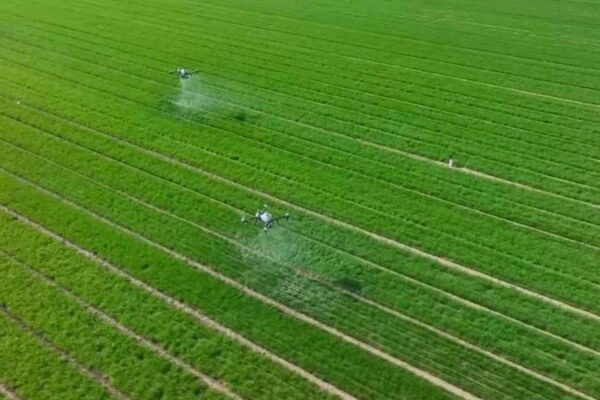 Chinese Mainland Unveils 2025 Roadmap to Transform Rural Areas Chinese_Mainland_Unveils_2025_Roadmap_to_Transform_Rural_Areas video poster