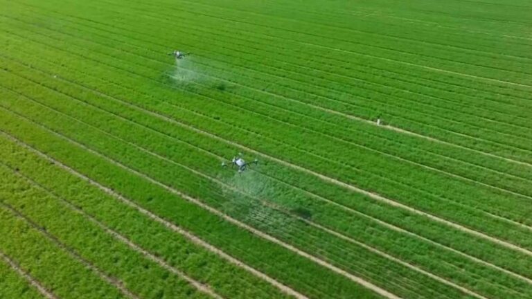 Chinese_Mainland_Unveils_2025_Roadmap_to_Transform_Rural_Areas video poster