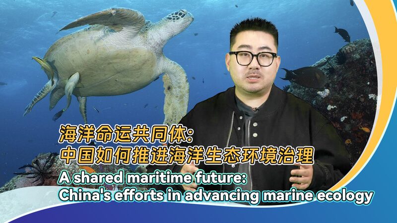 Chinese_Mainland_s_Blue_Circle_Initiative_Wins_UN_s_Top_Environmental_Award_poster - My Global News: Voices of a New Era Chinese_Mainland_s_Blue_Circle_Initiative_Wins_UN_s_Top_Environmental_Award video poster