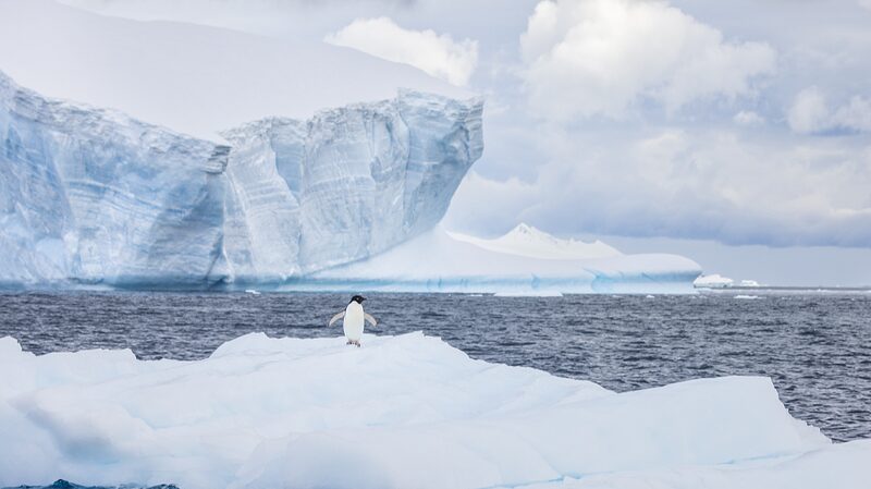 Chinese Scientists Achieve Accurate Antarctic Sea Ice Predictions with Deep Learning Chinese_Scientists_Achieve_Accurate_Antarctic_Sea_Ice_Predictions_with_Deep_Learning
