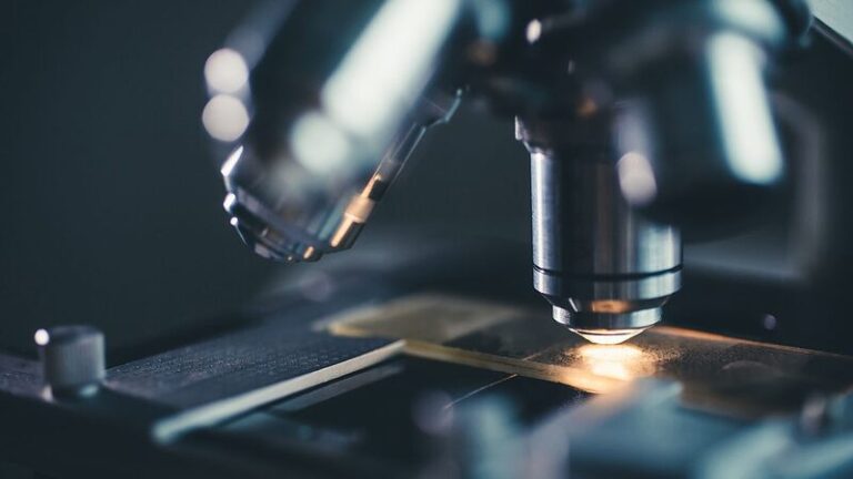 Chinese_Scientists_Launch_RUSH3D__Revolutionizing_Mammalian_Cell_Imaging
