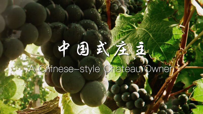Chinese_Style_Chateau_Blends_Tradition_and_Terroir_in_Helan_Mountains_poster - My Global News: Voices of a New Era Chinese_Style_Chateau_Blends_Tradition_and_Terroir_in_Helan_Mountains video poster