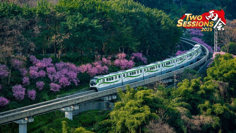 Chongqing_Blossoms__The__Train_to_Spring__Lights_Up_the_City video poster