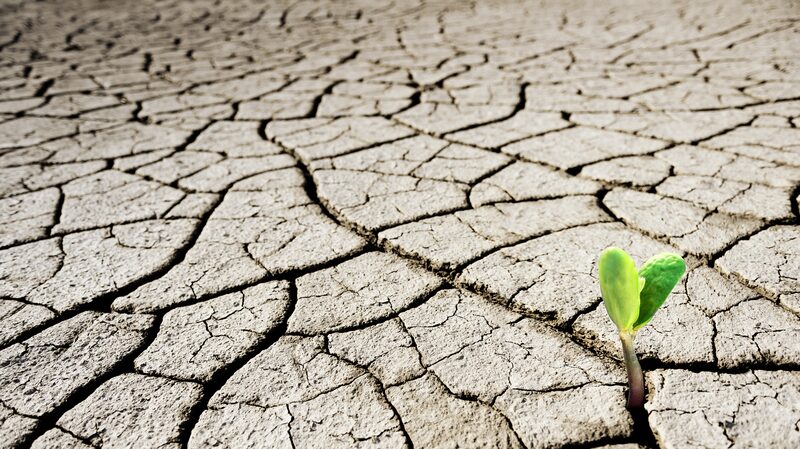 Climate Crisis: 75% of Earth’s Land Permanently Drier, Threatening 5 Billion by 2100 Climate_Crisis__75__of_Earth_s_Land_Permanently_Drier__Threatening_5_Billion_by_2100