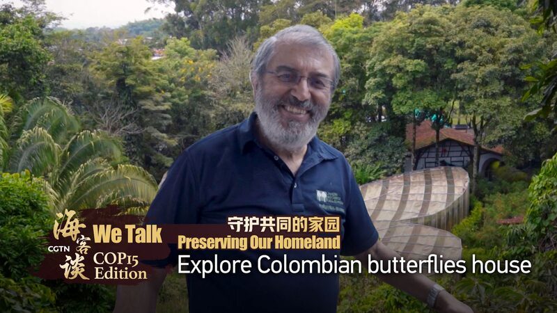 Colombia’s Butterfly Paradise: Where Conservation Meets Education Colombia_s_Butterfly_Paradise__Where_Conservation_Meets_Education video poster