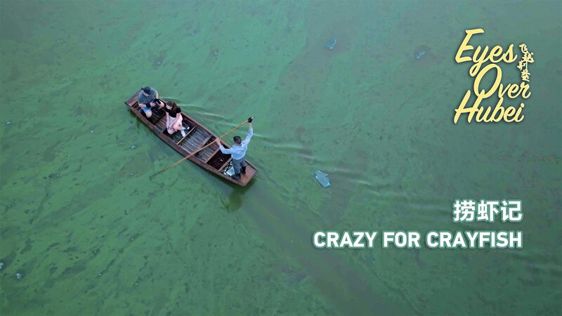 Crayfish_Boom_Revives_Hubei_s_Economy___Ecology video poster