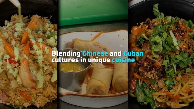 Culinary_Fusion__Chinese_and_Cuban_Flavors_Unite_in_New_York video poster