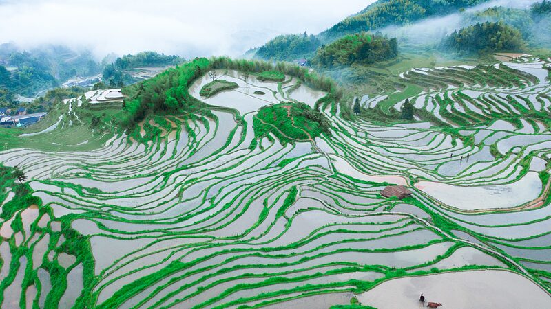 Discover_China_s_21_New_5A_Rated_Scenic_Gems - My Global News: Voices of a New Era Discover_China_s_21_New_5A_Rated_Scenic_Gems