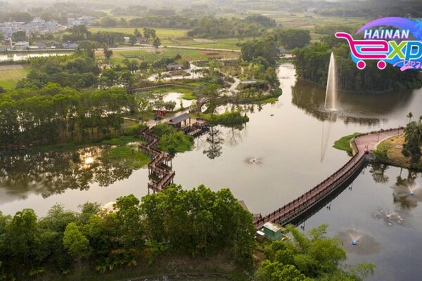 Discover_Hainan_s_Hidden_Gem__Tunchang_Wenzan_Ecological_Wetland_Park video poster