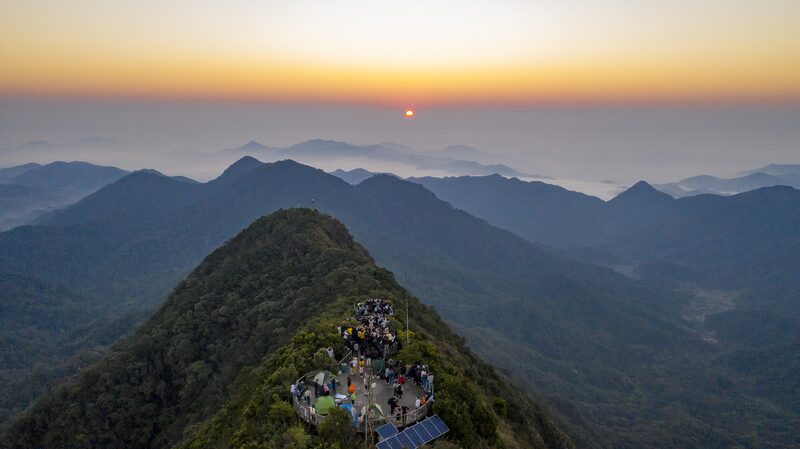 Discover_Hainan_s_Tropical_Rainforest__A_Biodiversity_Gem