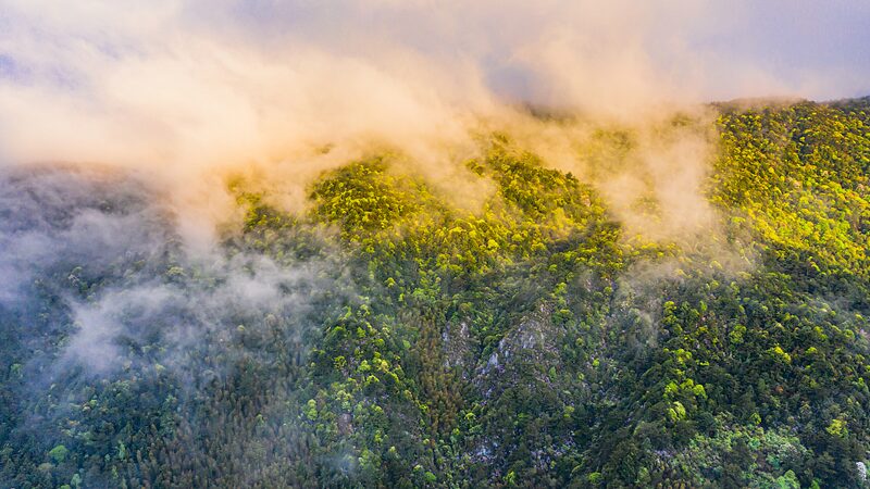 Discover_Mingxi_County_s_Rich_Birdlife__337_Species_Await video poster