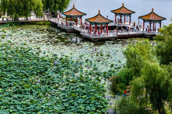 Discover Nanhu Lake Park: Changchun’s Urban Green Sanctuary Discover_Nanhu_Lake_Park__Changchun_s_Urban_Green_Sanctuary video poster