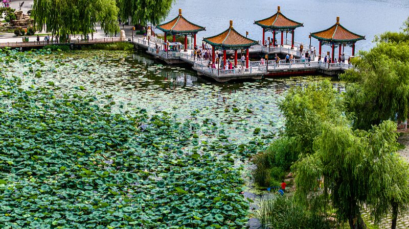Discover_Nanhu_Lake_Park__Changchun_s_Urban_Green_Sanctuary video poster