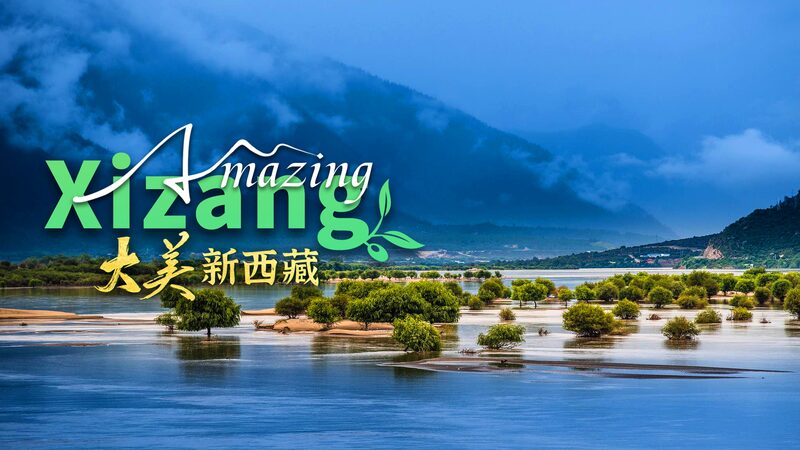 Discover_Nanyi_Valley__Xizang_s_Enchanting_Fairyland_of_Serenity_and_Biodiversity