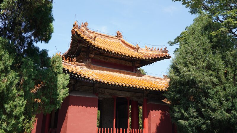 Discover_Qufu_s_Thirteen_Stele_Pavilions__Guardians_of_Confucian_Heritage